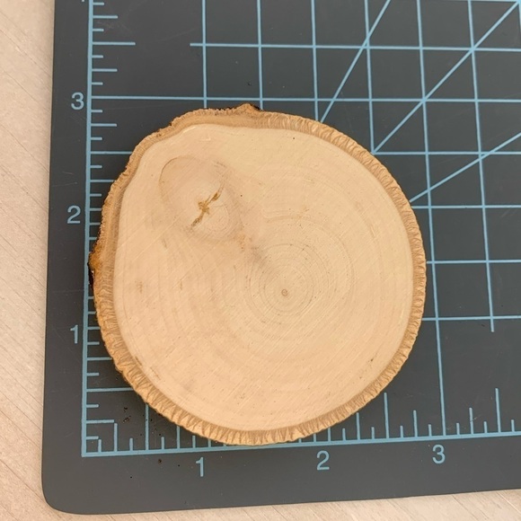 Natural Tree Wood Slice for Decorating or Crafting - Picture 4 of 8